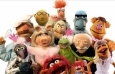 muppets - Fotos