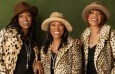 pointer-sisters - Fotos