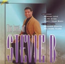 The Best of Stevie B