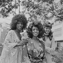 The Three Degrees