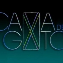 Cama de Gato (novela)