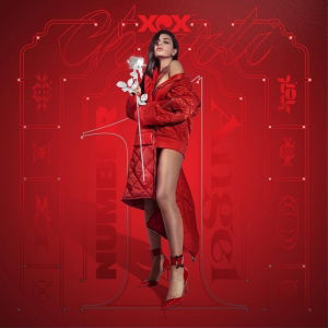 Used To Know Me (Tradução em Português) – Charli XCX