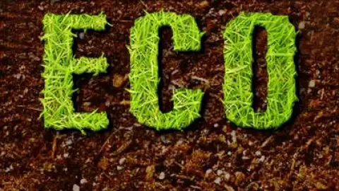 Especial Eco