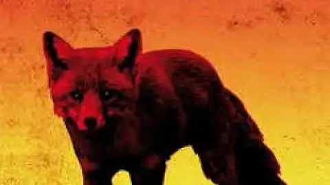 The Prodigy, Brian Wilson e Sufjan Stevens estão nos "Lançamentos da Semana"!