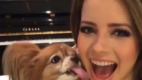 Sandy lamenta morte de sua cachorrinha, Zelda: "12 anos e meio de uma parceria tão linda"