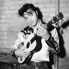 Elvis Presley - VAGALUME