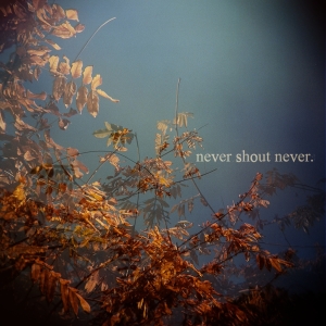 Never Shout Never EP