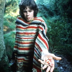 Nick Drake