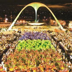 Sambas-Enredo Rio de Janeiro 2024