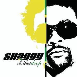 It Wasn't Me (feat. Rikrok) (tradução) - Shaggy - VAGALUME