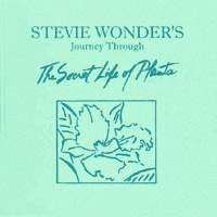 Antena 1 - Stevie Wonder - Send One Your Love - Letra e Tradução 