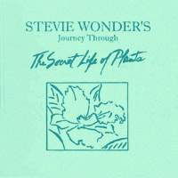 You Are The Sunshine Of My Life (tradução) - Stevie Wonder - VAGALUME