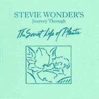 Isn't she lovely (tradução) - Stevie Wonder - VAGALUME