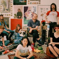 Superorganism