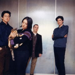 The Magnetic Fields