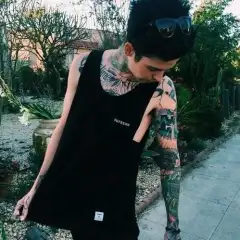 Travis Mills