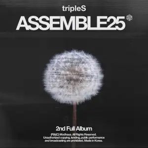 <ASSEMBLE25>